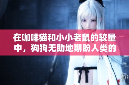 在咖啡猫和小小老鼠的较量中，狗狗无助地期盼人类的良知