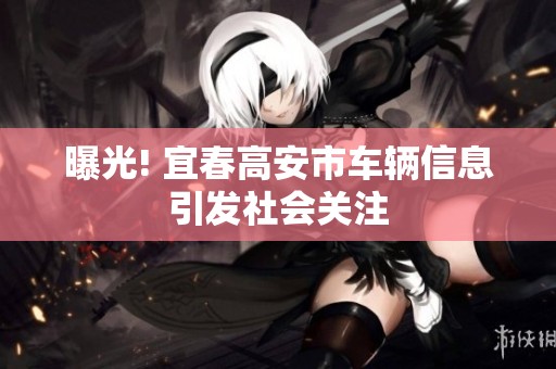 曝光! 宜春高安市车辆信息引发社会关注