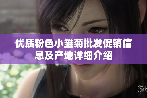 优质粉色小雏菊批发促销信息及产地详细介绍