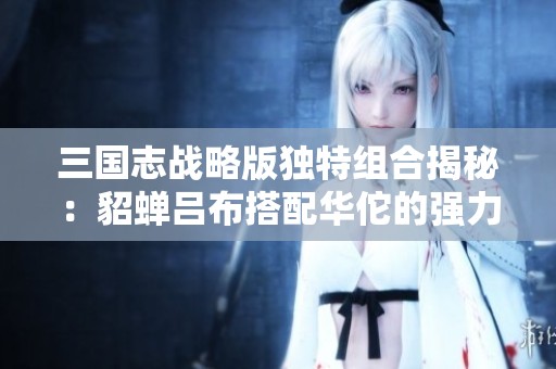 三国志战略版独特组合揭秘：貂蝉吕布搭配华佗的强力阵容分析