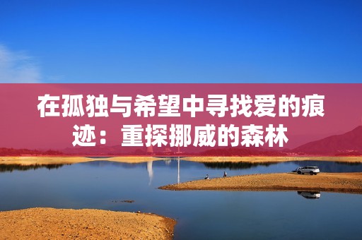 在孤独与希望中寻找爱的痕迹：重探挪威的森林