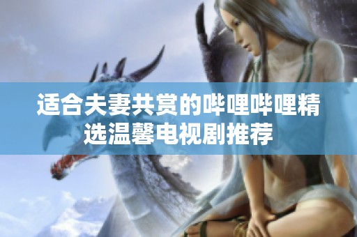 适合夫妻共赏的哔哩哔哩精选温馨电视剧推荐