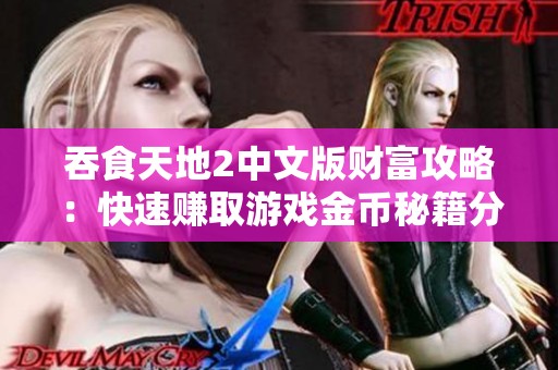 吞食天地2中文版财富攻略：快速赚取游戏金币秘籍分享