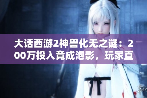 大话西游2神兽化无之谜：200万投入竟成泡影，玩家直言无奈