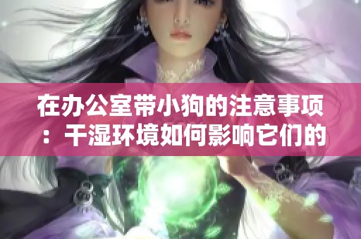 在办公室带小狗的注意事项：干湿环境如何影响它们的健康