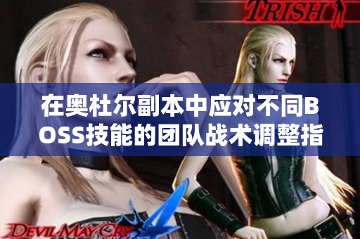 在奥杜尔副本中应对不同BOSS技能的团队战术调整指南