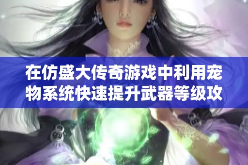 在仿盛大传奇游戏中利用宠物系统快速提升武器等级攻略