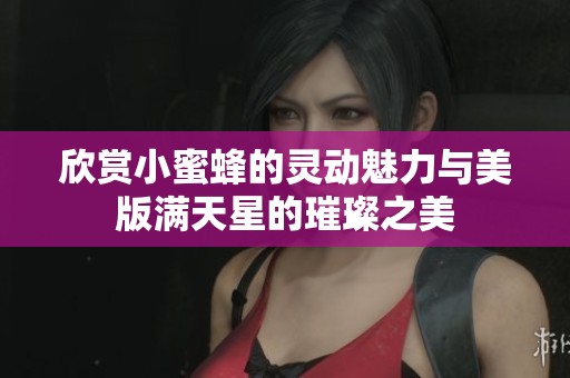 欣赏小蜜蜂的灵动魅力与美版满天星的璀璨之美