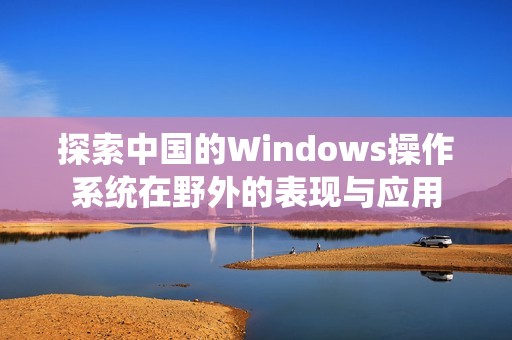 探索中国的Windows操作系统在野外的表现与应用