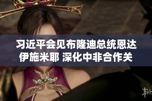 习近平会见布隆迪总统恩达伊施米耶 深化中非合作关系新篇章
