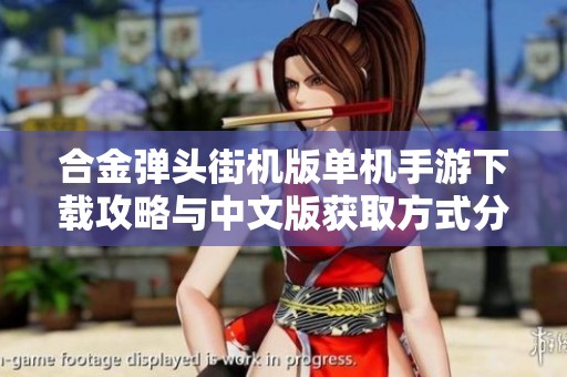 合金弹头街机版单机手游下载攻略与中文版获取方式分享