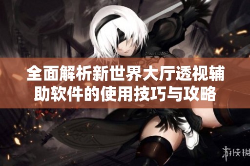 全面解析新世界大厅透视辅助软件的使用技巧与攻略