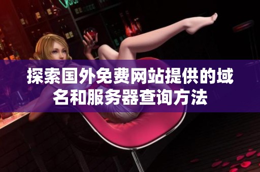 探索国外免费网站提供的域名和服务器查询方法