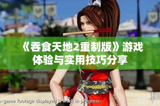《吞食天地2重制版》游戏体验与实用技巧分享