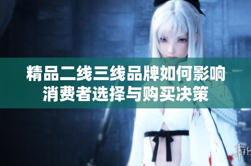 精品二线三线品牌如何影响消费者选择与购买决策