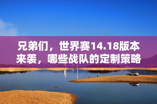兄弟们，世界赛14.18版本来袭，哪些战队的定制策略最强大？
