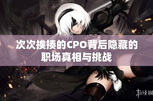 次次挨揍的CPO背后隐藏的职场真相与挑战