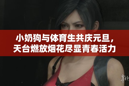 小奶狗与体育生共庆元旦，天台燃放烟花尽显青春活力