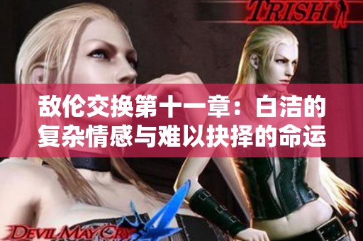 敌伦交换第十一章：白洁的复杂情感与难以抉择的命运