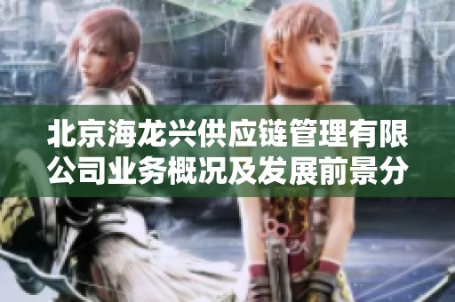北京海龙兴供应链管理有限公司业务概况及发展前景分析