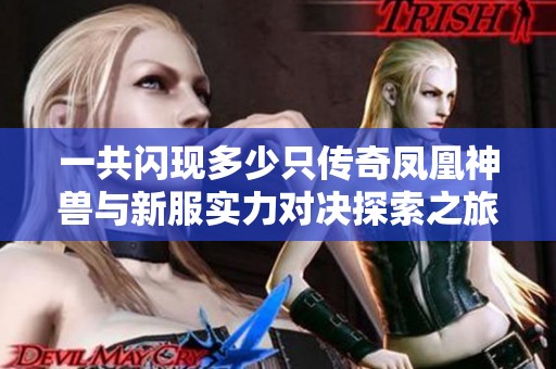 一共闪现多少只传奇凤凰神兽与新服实力对决探索之旅