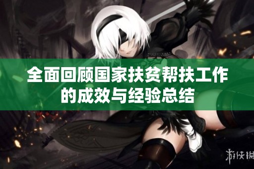 全面回顾国家扶贫帮扶工作的成效与经验总结